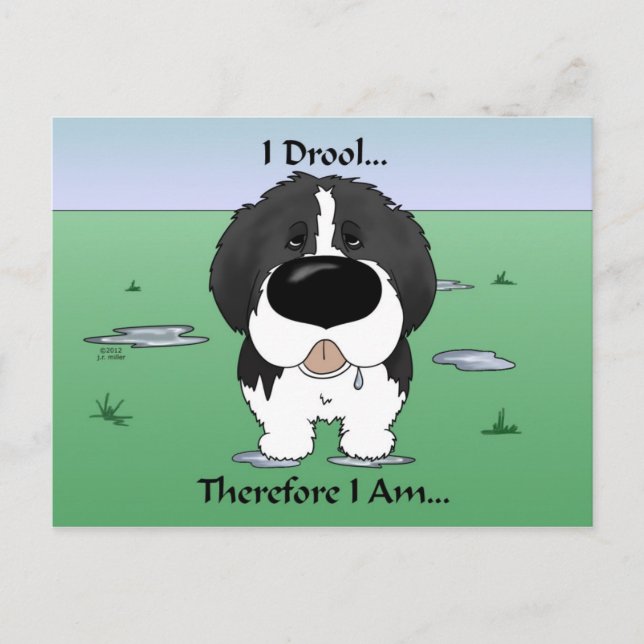 Newfie (Landseer) - I Drool Vykort (Framsida)