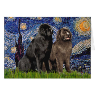Newfie Pair - Starry Natt Hälsningskort