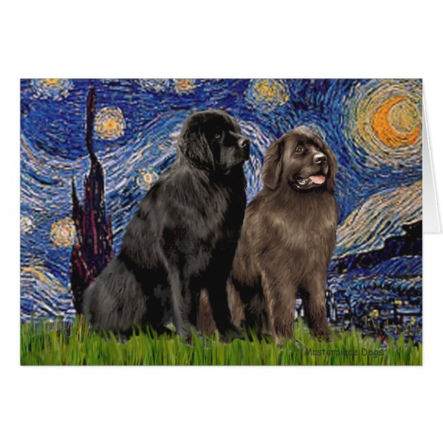 Newfie Pair - Starry Natt Hälsningskort (Framsidan Horizontal)