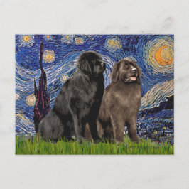 Newfie Pair - Starry Natt Vykort