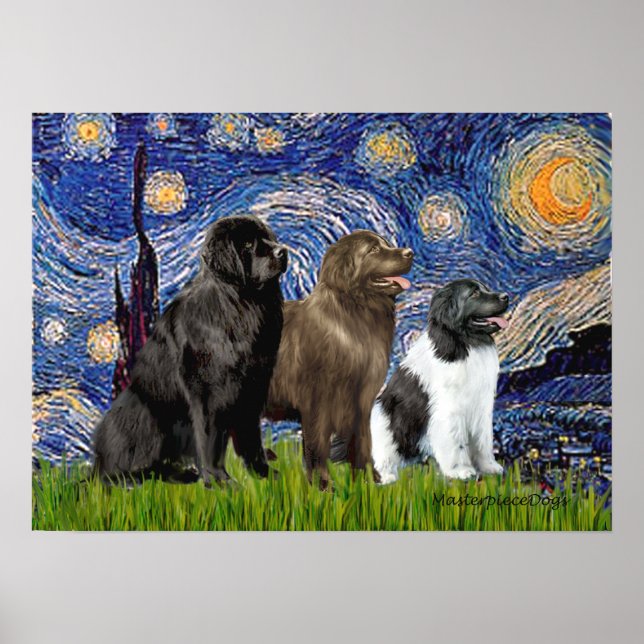 Newfie Trio - Starry Night Poster (Framsidan)