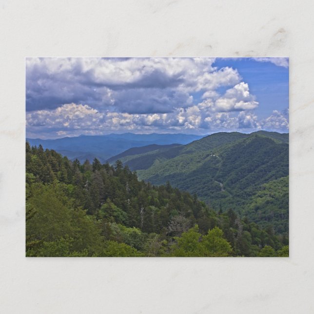 Newfound Gap, Great Smoky Mountains vykort (Framsida)