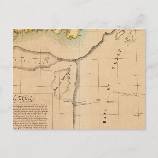 Newfoundland 45 vykort (Framsida)