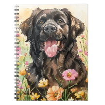 Newfoundland Akvarelljournal