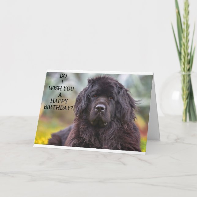 Newfoundland är lite en jokester på födelsedagen kort (Framsida)