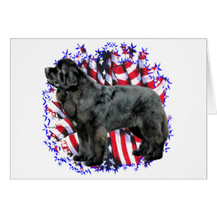 Newfoundland (blk) Patriot Hälsningskort