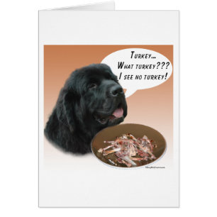 Newfoundland (blk) Turkiet Hälsningskort