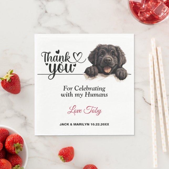 Newfoundland Bröllop Tack Pappersservett (Insitu)