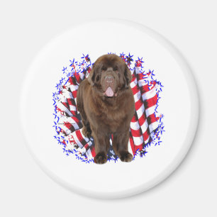 Newfoundland (brun) Patriot Magnet