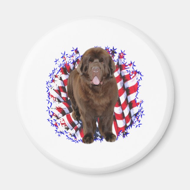 Newfoundland (brun) Patriot Magnet (Framsidan)