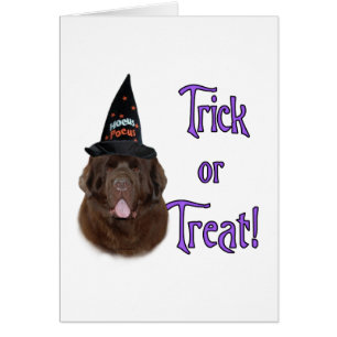 Newfoundland (brun) Trick Hälsningskort