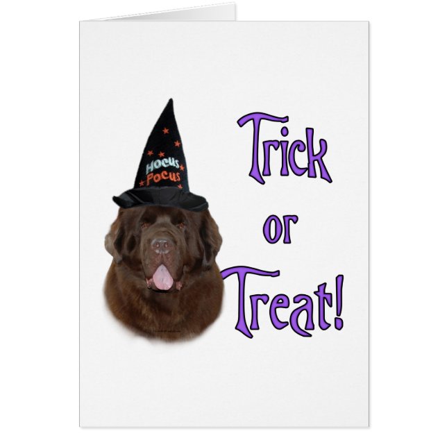 Newfoundland (brun) Trick Hälsningskort (Framsidan)