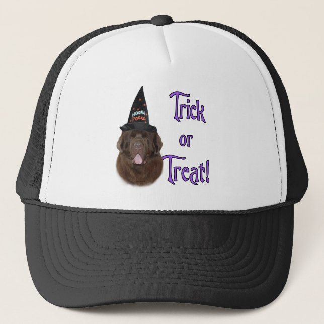 Newfoundland (brun) Trick Keps (Framsida)
