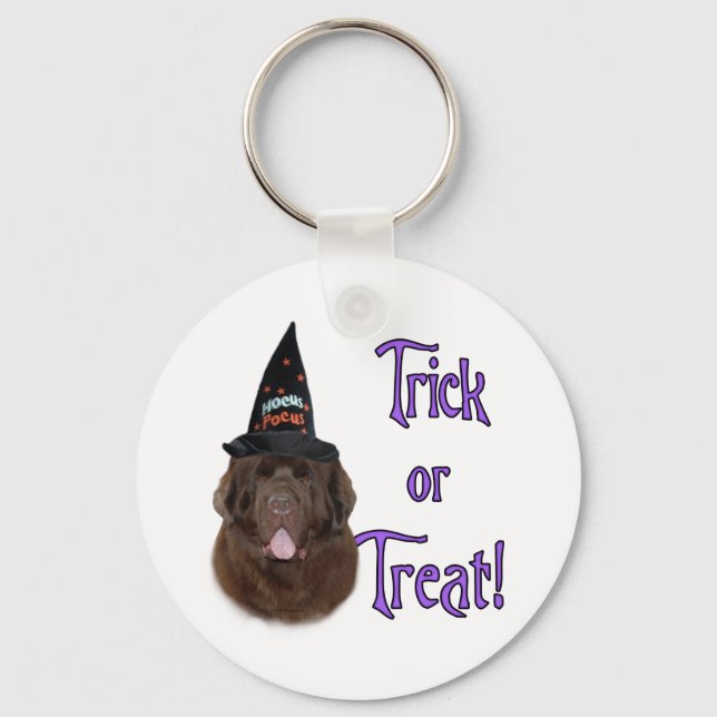 Newfoundland (brun) Trick Nyckelring (Framsida)