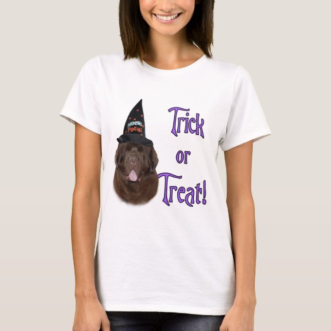 Newfoundland (brun) Trick T-shirt (Framsida)
