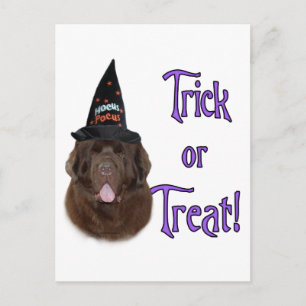 Newfoundland (brun) Trick Vykort