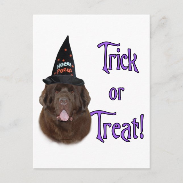 Newfoundland (brun) Trick Vykort (Framsida)