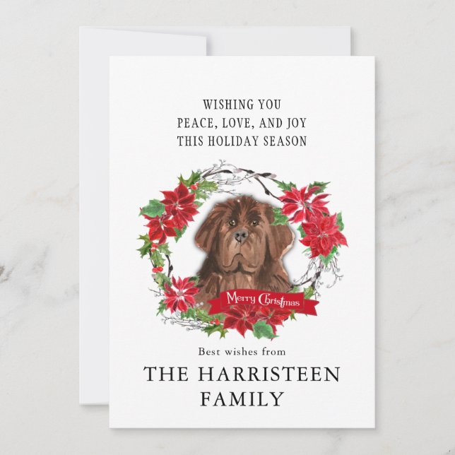 Newfoundland brun Watercolor Poinsettia jul Julkort (Framsida)