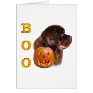 Newfoundland (bruna) Boo Hälsningskort