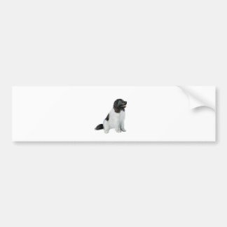 Newfoundland (C) - Landseer #1 Bildekal