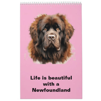 Newfoundland Calendar 2025 Kalender