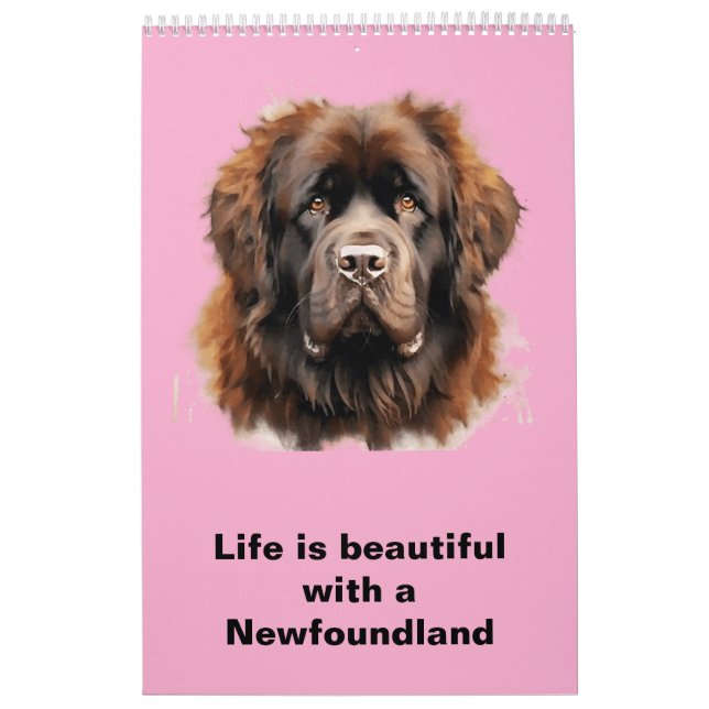 Newfoundland Calendar 2025 Kalender (Omslag)