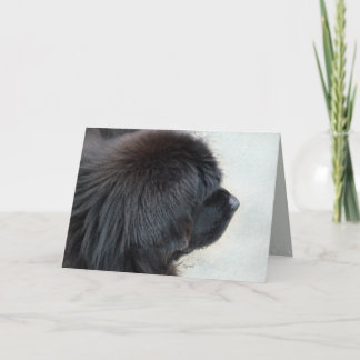 Newfoundland Card Kort