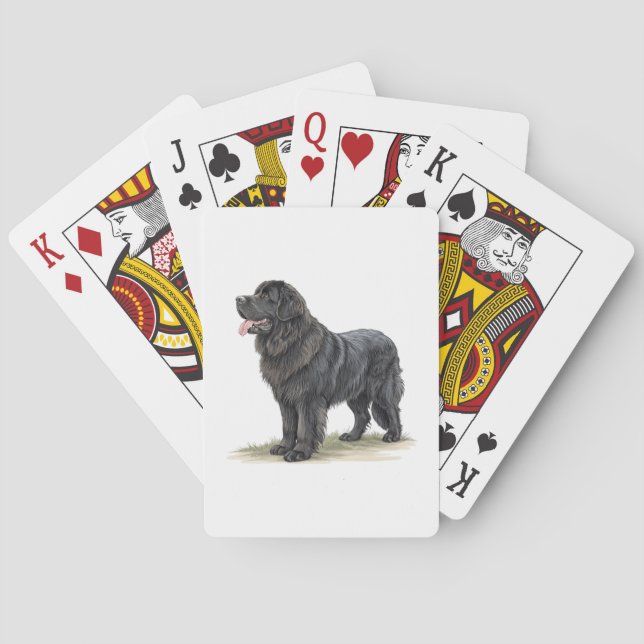 Newfoundland Casinokort (Baksidan)