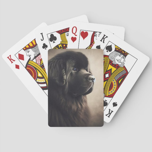 Newfoundland Casinokort (Baksidan)