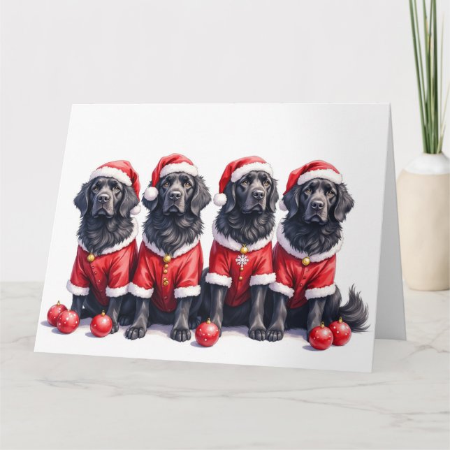 Newfoundland Christmas Dress Santa Hat Kort (Framsida)