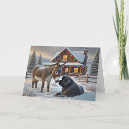 NEWFOUNDLAND CHRISTMAS - OM RANCH HELGKORT