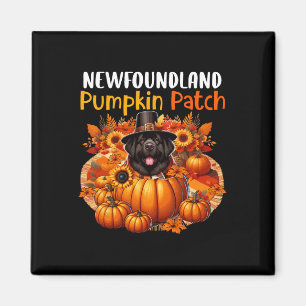 Newfoundland Cute Patch Thanksgiving Pumpkins Fall Magnet