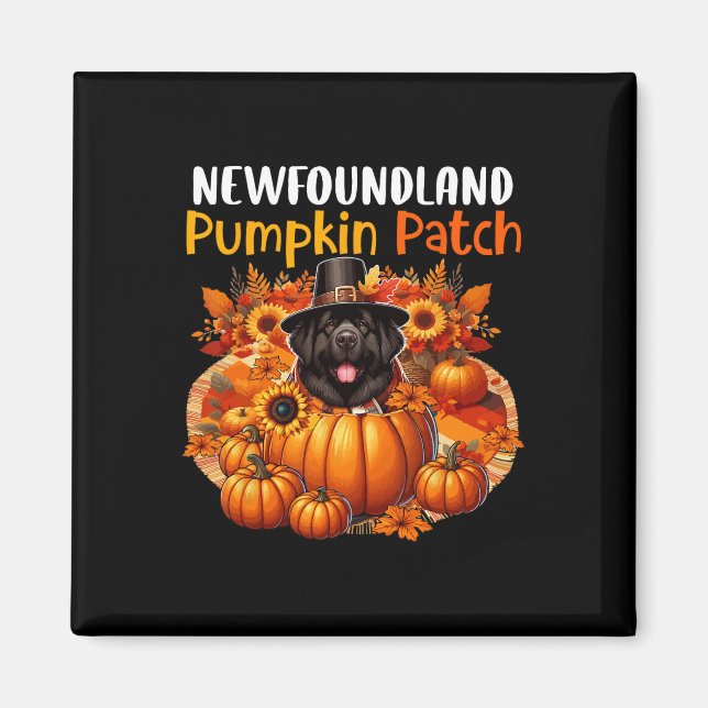 Newfoundland Cute Patch Thanksgiving Pumpkins Fall Magnet (Framsidan)