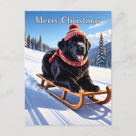 Newfoundland Dog Christmas Vykort