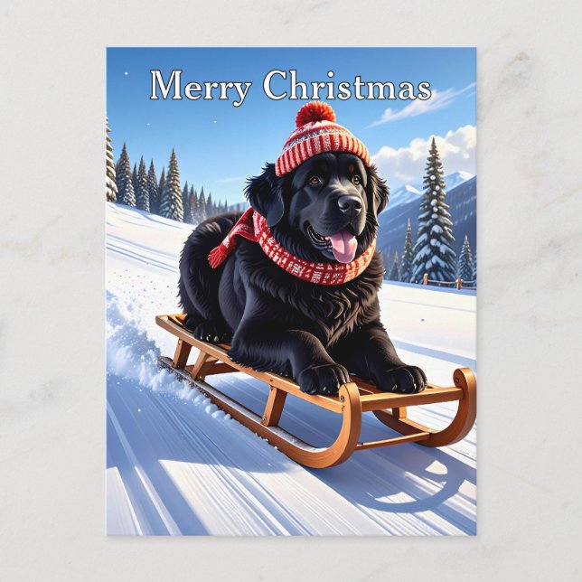 Newfoundland Dog Christmas Vykort (Framsida)