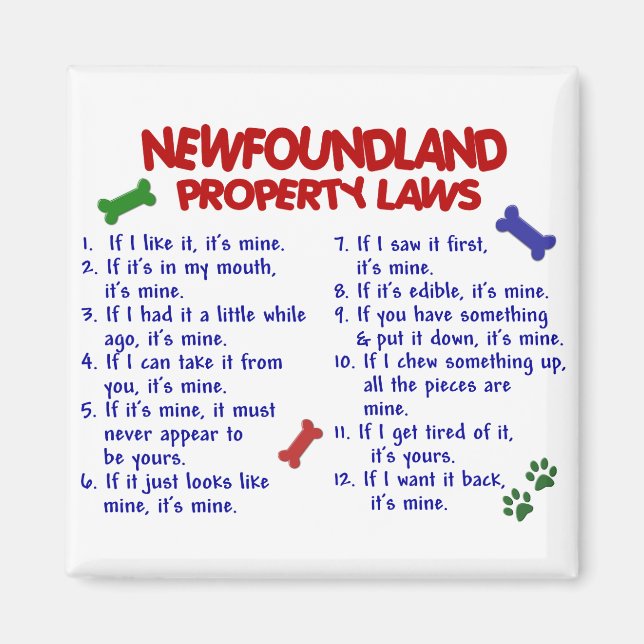 NEWFOUNDLAND Egendom LAGSTIFTNING 2 Magnet (Framsidan)