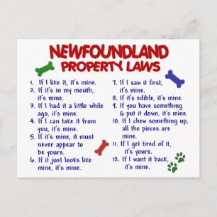 NEWFOUNDLAND Egendom LAGSTIFTNING 2 Vykort