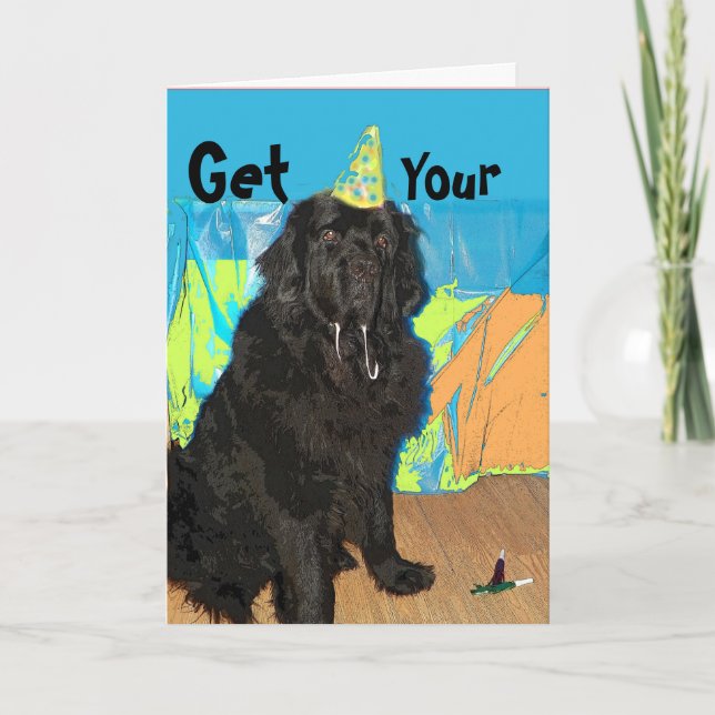 Newfoundland för födelsedagkort~ hund kort (Framsida)