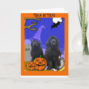 Newfoundland förföljer Halloween Kort