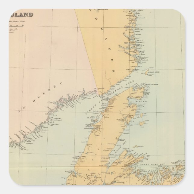 Newfoundland Fyrkantigt Klistermärke (Framsida)