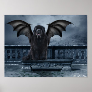 Newfoundland Gargoyleaffisch Poster