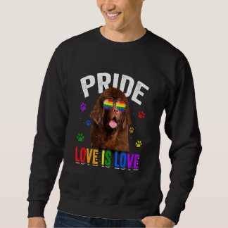 Newfoundland Gay pride Lgbt Rainbow Flagga Hund Lång Ärmad Tröja