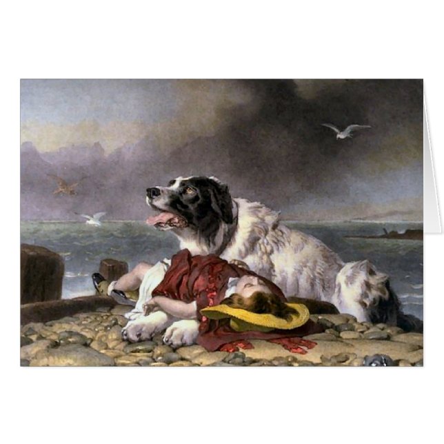 Newfoundland Gifts Landseer Saved Hälsningskort (Framsidan Horizontal)