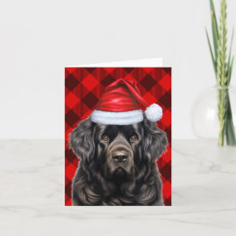 Newfoundland God Hund Helgdag Buffalo Play Helgkort