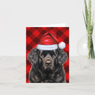 Newfoundland God Hund Helgdag Buffalo Play Helgkort
