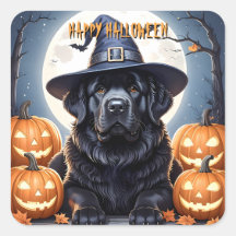 Newfoundland Halloween