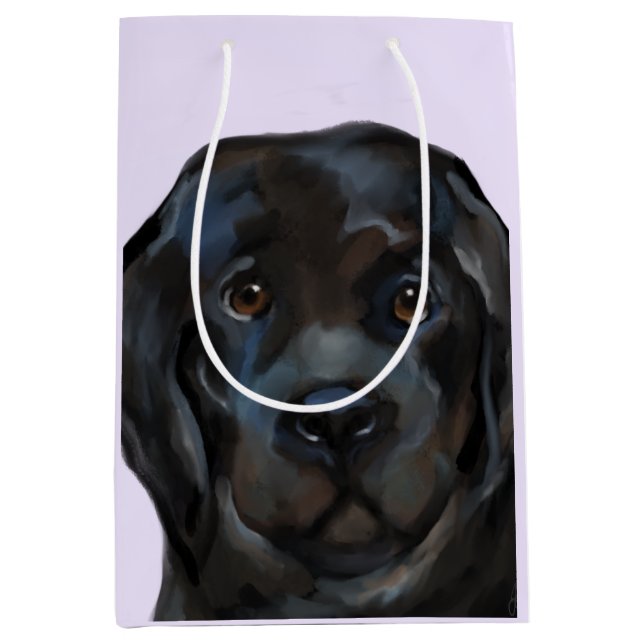 Newfoundland Hund (Framsidan)