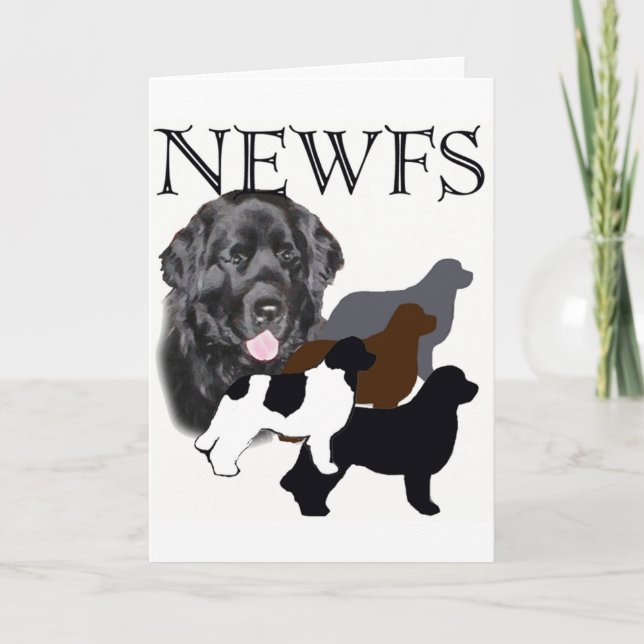 Newfoundland hund 4 färg kort (Framsida)