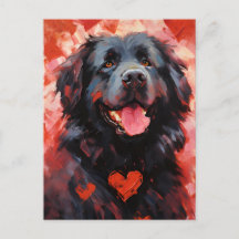 Newfoundland hund Alla hjärtans dag