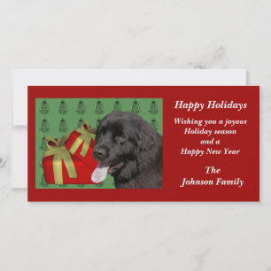 Newfoundland Hund Animal jul-Helgdag Card Julkort